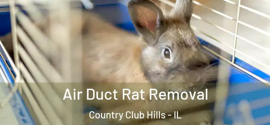  Air Duct Rat Removal Country Club Hills - IL