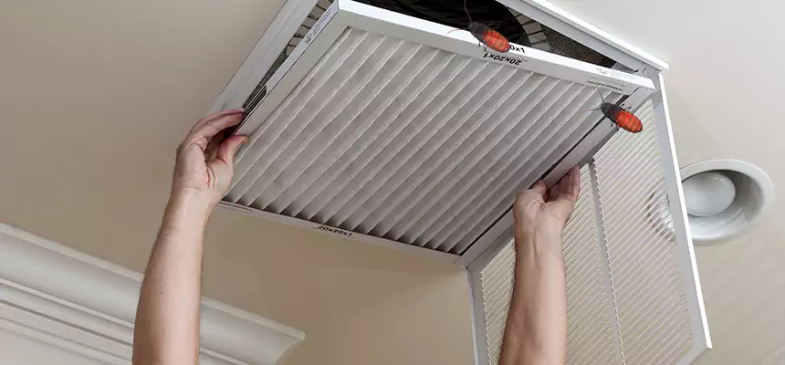 Preventive Cockroach-Proofing for Ducts in Country Club Hills