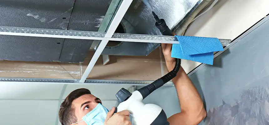 Our Air Duct Rodent Removal Services in Country Club Hills, IL