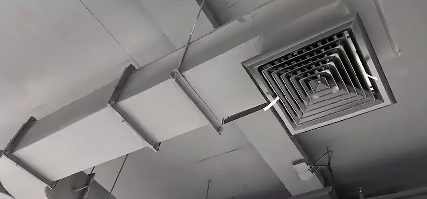 Restorative Allergy Relief Vent Cleaning – Coil, Blower & Housing Detail in Country Club Hills