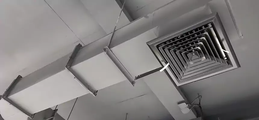 Our Pest Removal From Ducts Services in Country Club Hills, IL