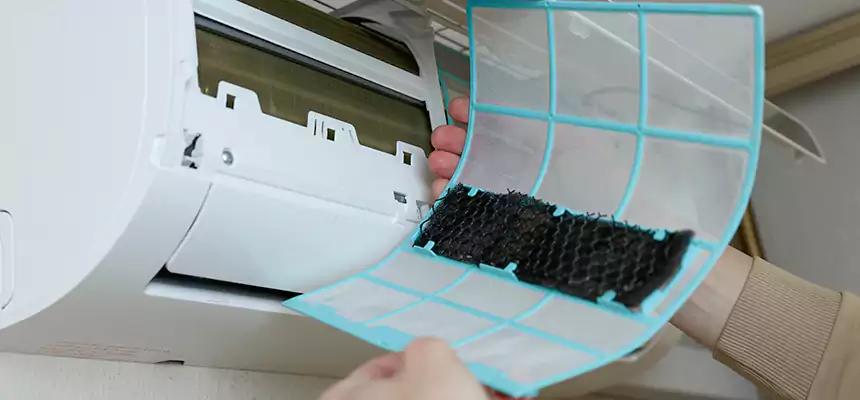 Gentle Ductwork Odor-Control Pet Dander Duct Cleaning in Country Club Hills, IL