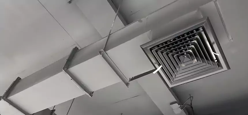 Our Rodent Droppings In Vents Services in Country Club Hills, IL