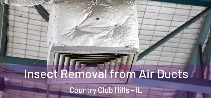  Insect Removal from Air Ducts Country Club Hills - IL