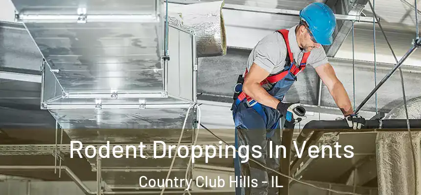  Rodent Droppings In Vents Country Club Hills - IL