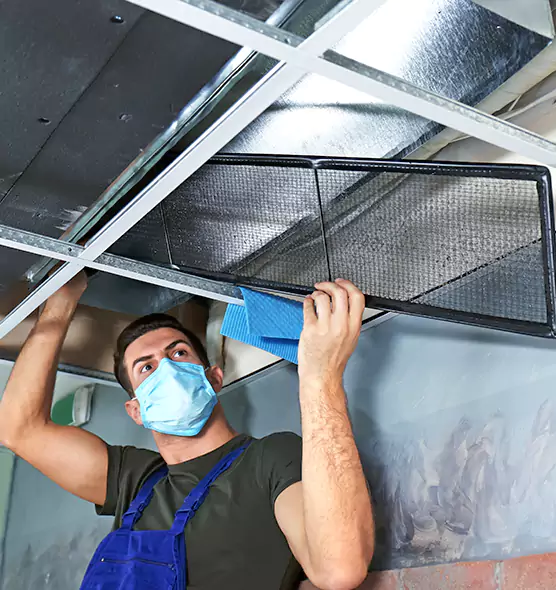 Professional Air Duct Pollen Cleaning in Country Club Hills, IL
