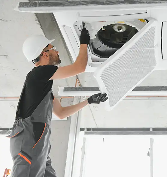 About Air Duct Rodent Removal in Country Club Hills, IL