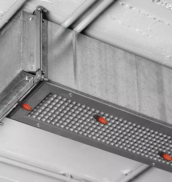 Affordable Insect Removal from Air Ducts in Country Club Hills, IL