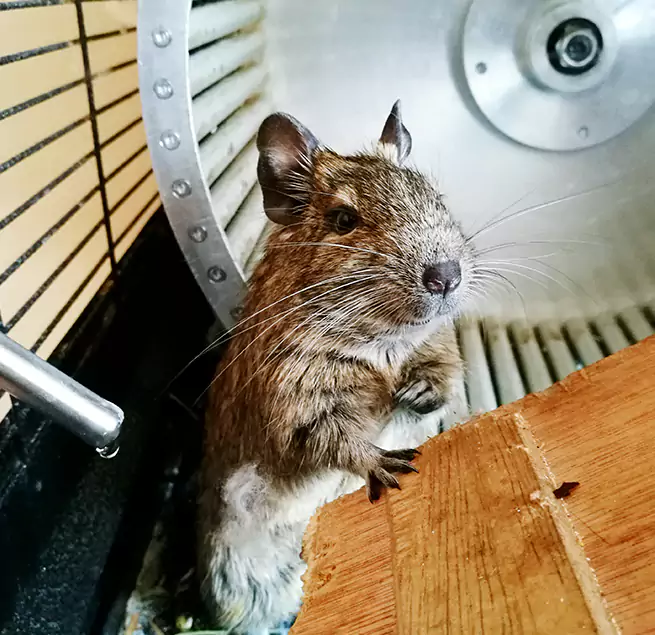 Why Homeowners & Businesses Trust Us Country Club Hills, IL?