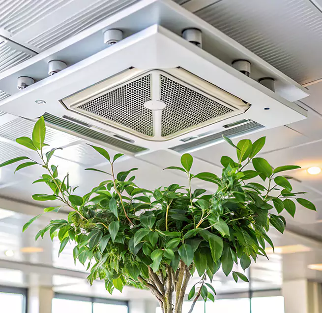 Why Homeowners & Businesses Trust Us in Country Club Hills, IL?