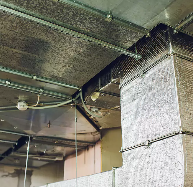 Why Homeowners & Businesses Trust Us in Country Club Hills, IL?